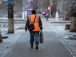 Усиленным покосом травы в декабре шокируют волгоградцев за миллионы