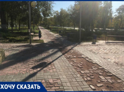 Прогулка по пересеченной местности: пешеходную дорожку под окнами администрации просят починить жители Кировского района