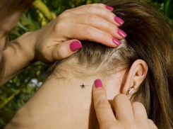 Четыре человека заболели в Волгоградской области крымской лихорадкой 