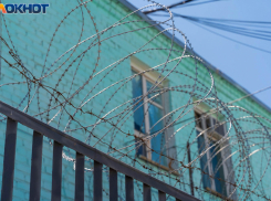 Извинения не помогли: в Волгограде арестовали пятерых гонщиков свадебного кортежа 