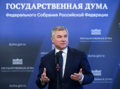 Чужой среди своих: Волгоград не хочет признавать Вячеслава Володина своим депутатом