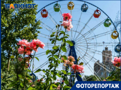 Волгоградский горсад готов попрощаться со своими аттракционами
