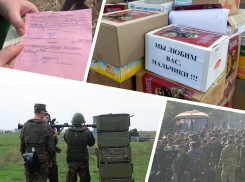 Экстренные свадьбы, боевое слаживание и полмиллиарда на помощь: как мобилизованные волгоградцы готовятся к СВО