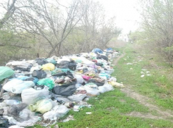 Горы мусора на острове Сарпинском показал волгоградский общественник