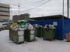 Мэрия Волгограда заявила, что все праздники круглосуточно следила за вывозом мусора в городе