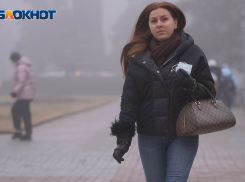 20 марта волгоградцев порадует по-весеннему теплая погода