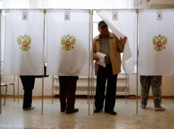 Политики Волгограда ожидают на выборах явку 35 процентов