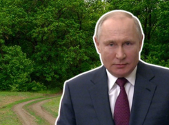 Надежда чиновников лишь на Путина: Росприроднадзор отказал в трассе через дубравы Волго-Ахтубинской поймы