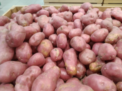 Волгоградец потребовал от руководства области остановить стремительный рост цен на продукты