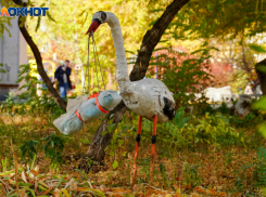 Волгоградка получила 800 тысяч за выдуманного ребенка