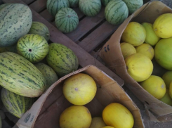 Волгоградских сетевиков уличили в продаже самых невкусных дынь и арбузов