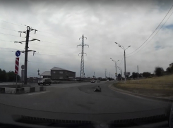 Переползающего дорогу волгоградца на пятой точке сняли на видео