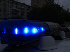 Мужчина из иномарки выбросил мешок с расчлененным трупом волгоградца