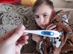 Как обезопасить себя в период гриппа волгоградцам? Заходи в справочник!