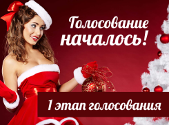 Стартовало голосование за самую сексуальную Снегурочку 