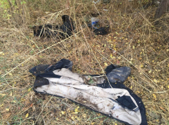 Поиски двоих пропавших волжанок заходят в тупик: добровольцы закончились 
