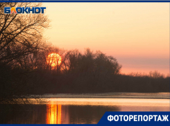Шикарные виды наполненной водой поймы испортили мусором волгоградцы