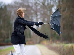 Сегодня сильный ветер будет валить деревья и рвать провода в Волгограде 