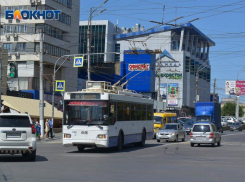 Почему напоминает флешмоб «купи у торгующей бабушки все» замена троллейбусов автобусами, высказался волгоградец