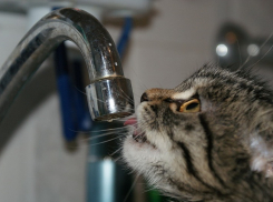 Пять районов останутся без воды на все выходные в Волгограде