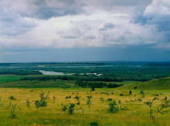 В Волгоградской области разрешили стрелять по шакалам