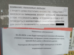 От утечки газа до тараканов: странными объявлениями запугивают волгоградцев
