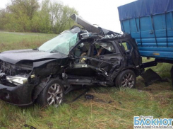 Под Волгоградом в столкновении иномарки и грузовика погибли 2 человека