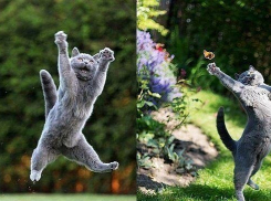 Температура воздуха в Волгоградской области опустится до +15ºС