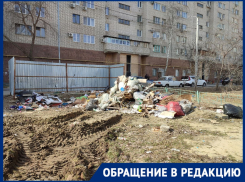 Крысы и обросший мусором берег: как гибнут перспективные места для детского отдыха в Волгограде