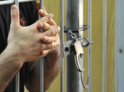 Протащивший по асфальту полицейского водитель приговорен к 1 году колонии-поселения под Волгоградом