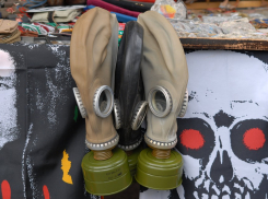 Пришедших к приставам активисток в противогазах поддержали более 75% волгоградцев