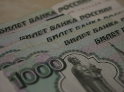 Основным источником доходов волгоградской казны стали бизнесмены
