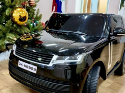 Конфискованные электромобили отдали волгоградским сиротам