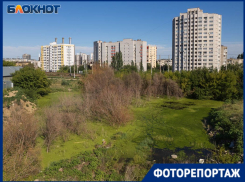 Зловонное болото за несколько месяцев выросло у подножия Мамаева кургана