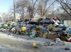 Чиновников  Волгограда  заставили убрать свалку в Ворошиловском районе