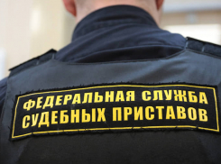 «Волгогоградэнергосбыт» взыскал свыше 200 млн рублей задолженности неплательщиков с помощью приставов