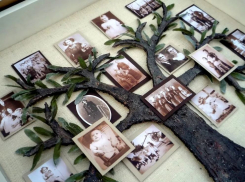 Волгоградцам бесплатно помогут составить своё генеалогическое древо