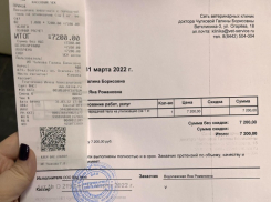 Волгоградцев шокировал счет за кремацию умершей собаки