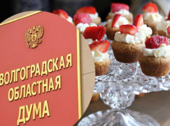 Зефир в форме грибов: депутаты Волгоградской области закупают 650 килограмм сладостей
