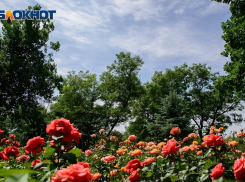 До +34 градусов синоптики обещают жителям Волгоградской области