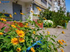 Квартиры Волгограда оказались одними из самых дешевых по стране 