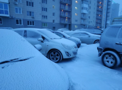 Плюсовая температура задержалась в Волгоградской области
