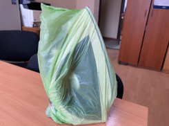 Разбитой утюгом головой волгоградку лечили от интернет-зависимости