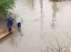 Затопление заблокировало волгоградцам выход из подъезда: видео ЧП