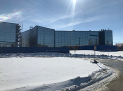 Из-за снега волгоградцы не могут добраться до Москвы самолетом