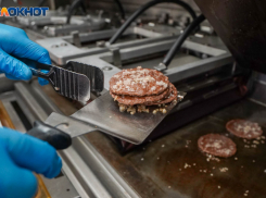 Говяжьи котлеты из курицы налепили в Волгоградской области 