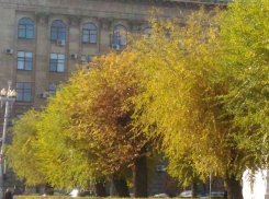 С +13ºС начинают рабочую неделю жители Волгоградской области