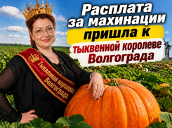 Бывшую тыквенную королеву Волгограда лишили земель на 51 миллион рублей