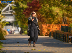 Денежные шансы идут в руки двум знакам: гороскоп на новую неделю ноября