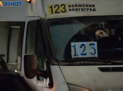 Жаловаться на прямую линию Путина из-за транспортной реформы намерены волгоградцы